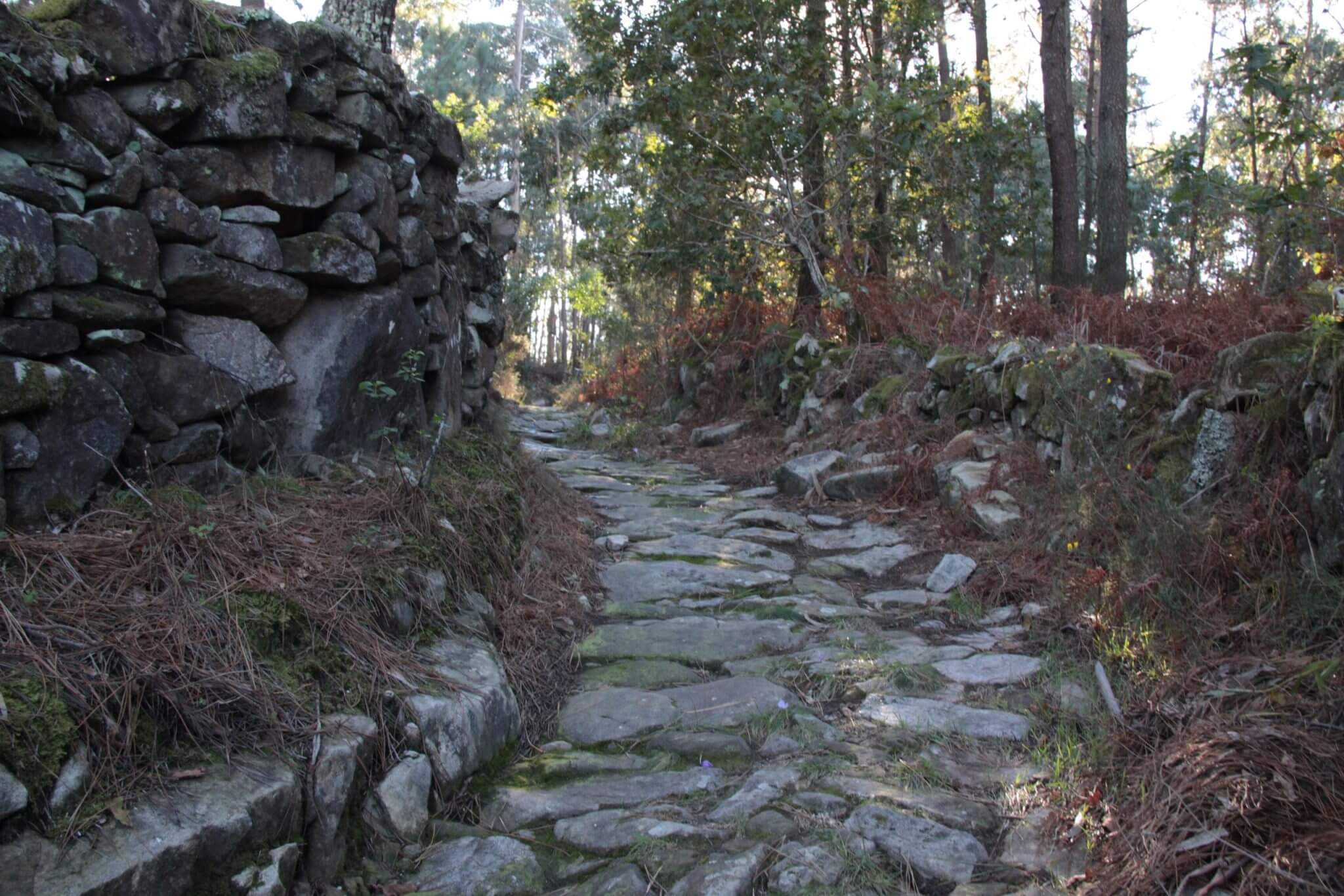 The Portuguese Way to Santiago de Compostela